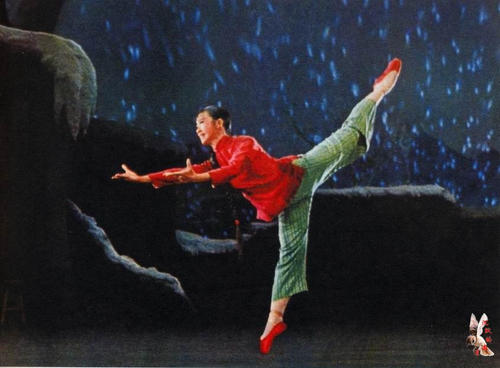 怎么买芬兰护照扫描件